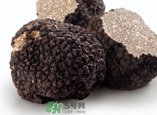 松露產(chǎn)地在哪里？松露有什么作用