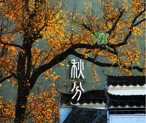 2017秋分會下雨嗎？2017秋分下雨好不好？
