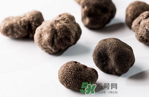 松露對女人有什么好處？松露對男人有什么好處