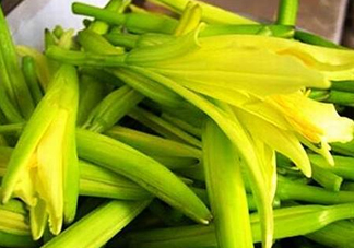 黃花菜開花了還能吃嗎？開花的黃花菜可以吃嗎