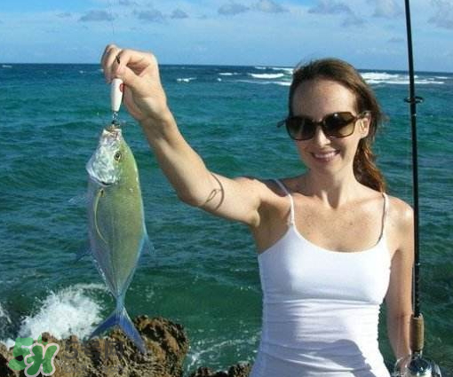 9月份釣什么魚？9月份釣草魚嗎？