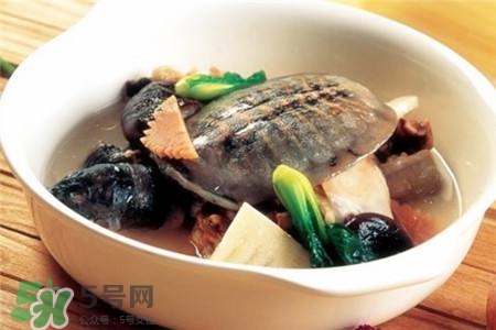 產(chǎn)婦能吃甲魚(yú)嗎？產(chǎn)婦能吃甲魚(yú)湯嗎？
