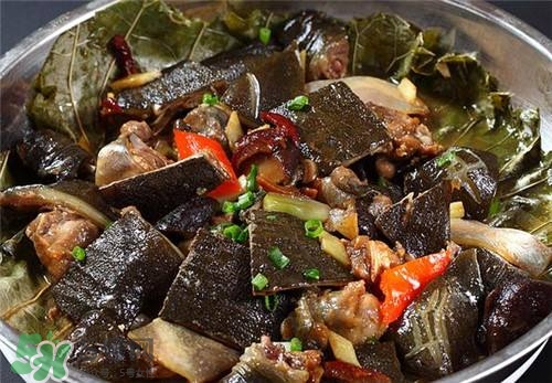甲魚湯下奶嗎？下奶的食物有哪些？