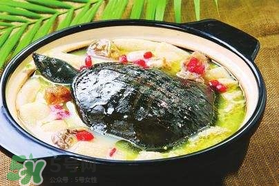 甲魚湯下奶嗎？下奶的食物有哪些？