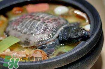 產(chǎn)婦能吃甲魚(yú)嗎？產(chǎn)婦能吃甲魚(yú)湯嗎？