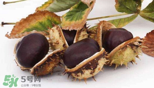 板栗殼里面的皮能吃嗎？板栗殼有什么作用