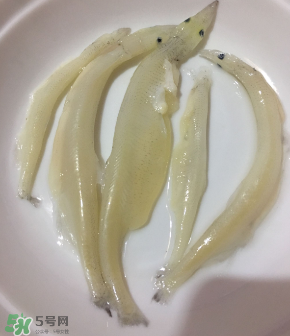 大銀魚怎么做好吃？大銀魚的做法大全