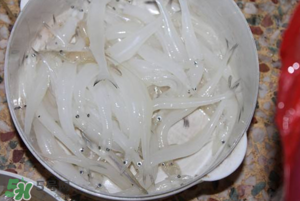 大銀魚多少錢一斤？大銀魚怎么洗？