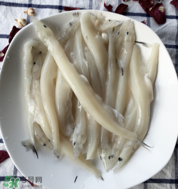 大銀魚多少錢一斤？大銀魚怎么洗？