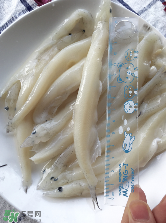 大銀魚多少錢一斤？大銀魚怎么洗？