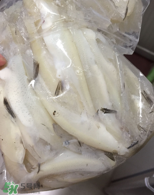 銀魚可以煲粥嗎？銀魚可以包餃子嗎？
