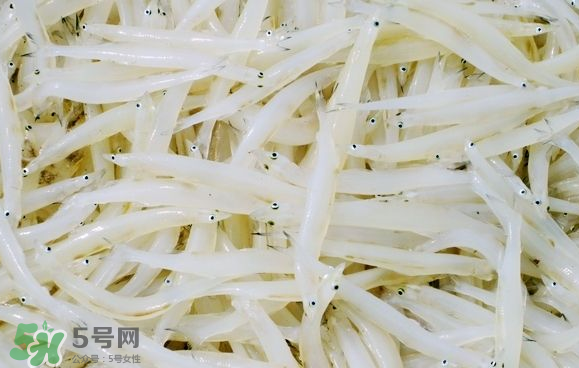 銀魚可以煲粥嗎？銀魚可以包餃子嗎？
