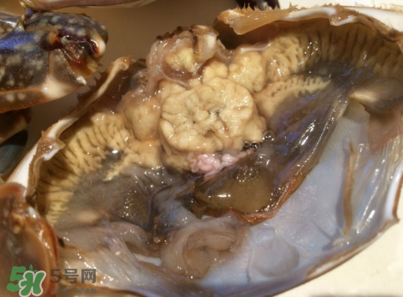 梭子蟹是野生的嗎？梭子蟹養(yǎng)的還是野生的？