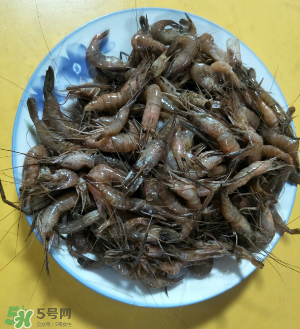 河蝦是發(fā)物嗎？河蝦是不是發(fā)物？