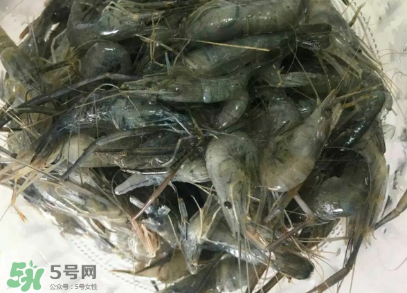 河蝦是基圍蝦嗎？河蝦是辛辣食物嗎？