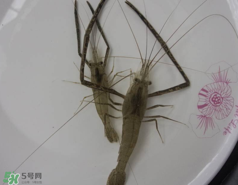 河蝦可以和牛奶同食嗎？河蝦和牛奶能一起吃嗎？