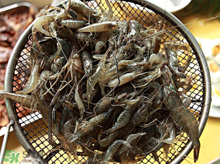 河蝦可以吃頭嗎？蝦頭到底能不能吃？
