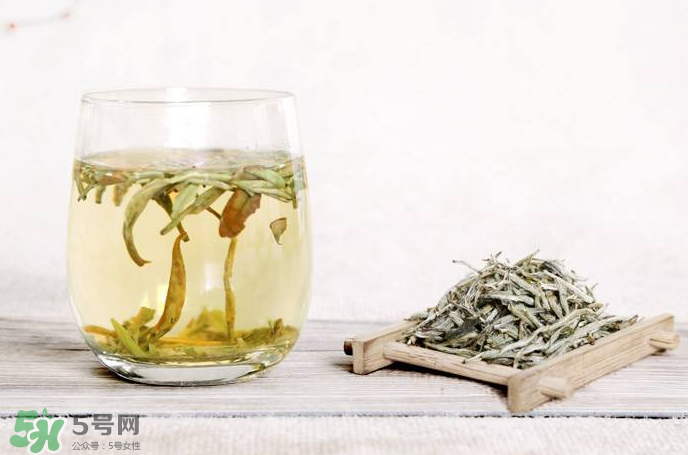 白毫銀針屬于綠茶嗎？白毫銀針是什么茶？
