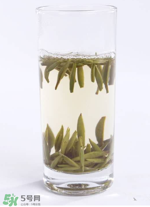 白毫銀針屬于綠茶嗎？白毫銀針是什么茶？