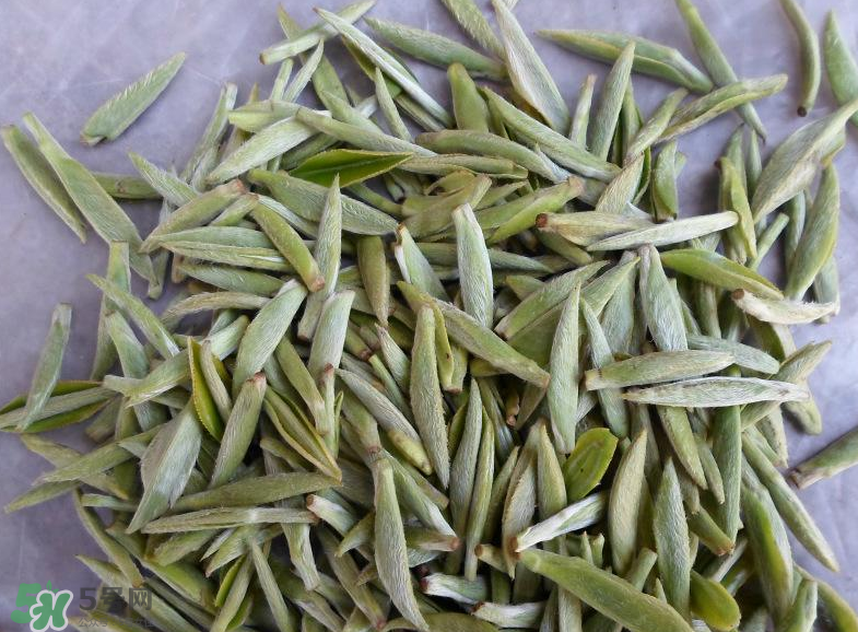 白毫銀針屬于綠茶嗎？白毫銀針是什么茶？