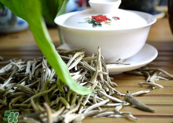 白茶需要洗茶嗎？白茶是洗還是不洗？