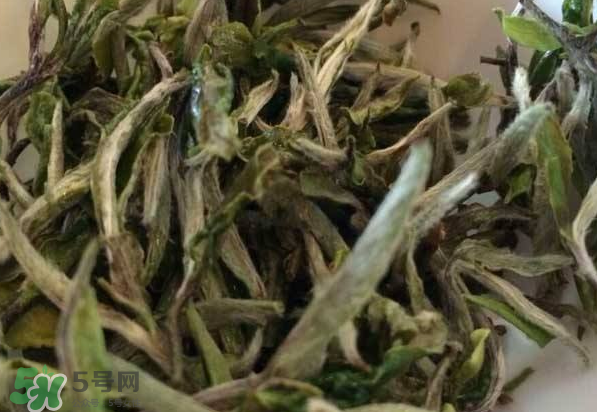 白茶需要洗茶嗎？白茶是洗還是不洗？