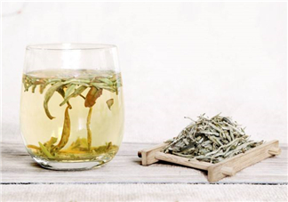 白毫銀針屬于綠茶嗎？白毫銀針是什么茶？