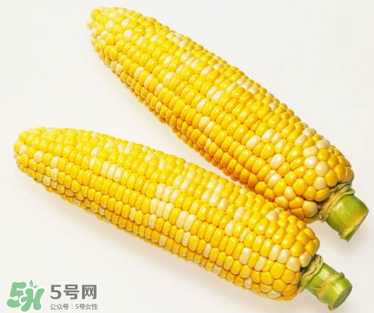 九月份能種玉米嗎？玉米九月份還可以種嗎？