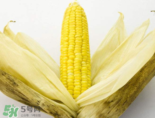 九月份能種玉米嗎？玉米九月份還可以種嗎？