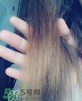 摩洛哥護發(fā)精油是哪個國家的？摩洛哥護發(fā)精油孕婦能用嗎
