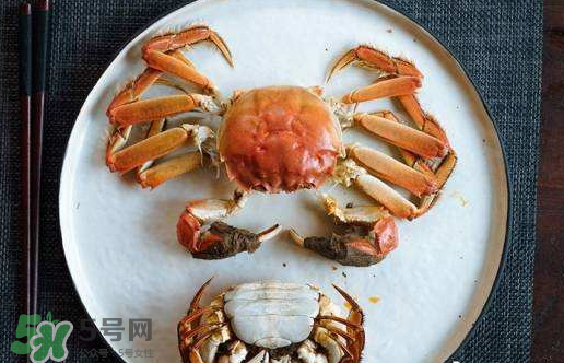 啤酒蒸大閘蟹好吃嗎？啤酒蒸大閘蟹怎么吃？