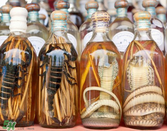 毒蛇泡酒有毒嗎？毒蛇泡酒能喝嗎？