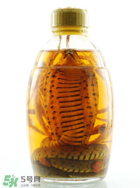 毒蛇泡酒有毒嗎？毒蛇泡酒能喝嗎？