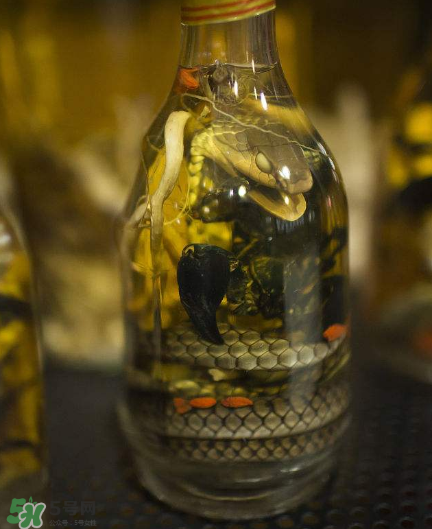 毒蛇泡酒有毒嗎？毒蛇泡酒能喝嗎？