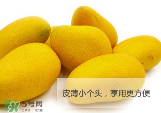 臺農(nóng)芒果多少錢一斤？臺農(nóng)芒果為什么叫臺農(nóng)芒果