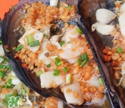 帶子是什么海鮮？帶子是什么東西