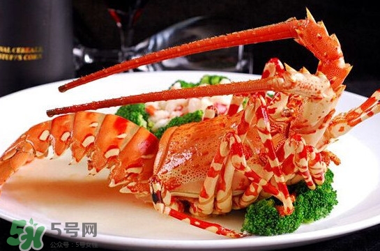 中華錦繡龍蝦可以養(yǎng)殖嗎？中華錦繡龍蝦有毒嗎