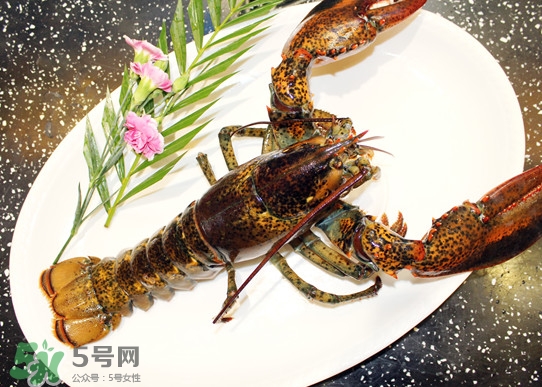 波士頓龍蝦頭能吃嗎？波士頓龍蝦哪里不能吃