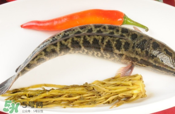 黑魚和草魚哪個好吃？黑魚不適合什么人吃