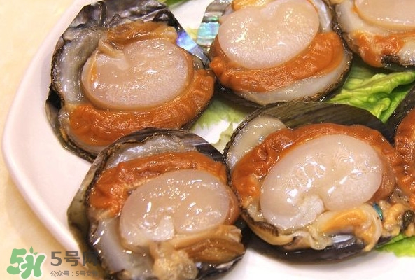 帶子是什么海鮮？帶子是什么東西