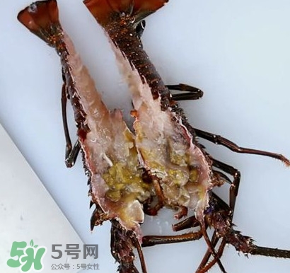 4斤的波士頓龍蝦多少錢？波士頓龍蝦怎么處理
