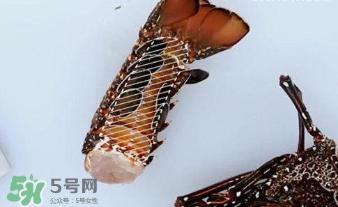 4斤的波士頓龍蝦多少錢？波士頓龍蝦怎么處理