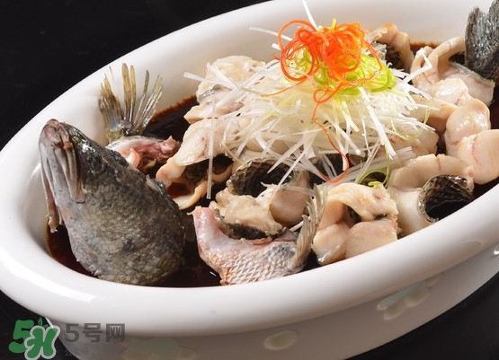黑魚怎么殺不滑？黑魚為什么又被叫做財魚