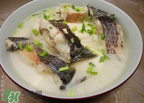 黑魚湯是發(fā)物嗎？黑魚湯可以放香菇嗎