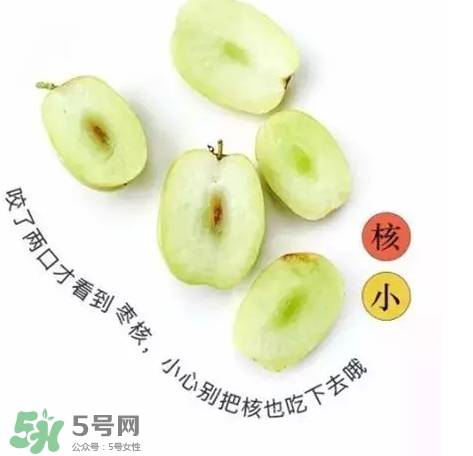 金絲棗的營養(yǎng)價(jià)值 金絲棗的功效與作用