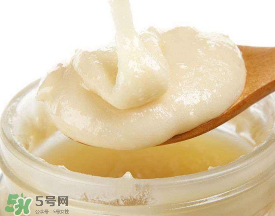 椴樹蜜多少錢一斤？椴樹蜜的功效與作用
