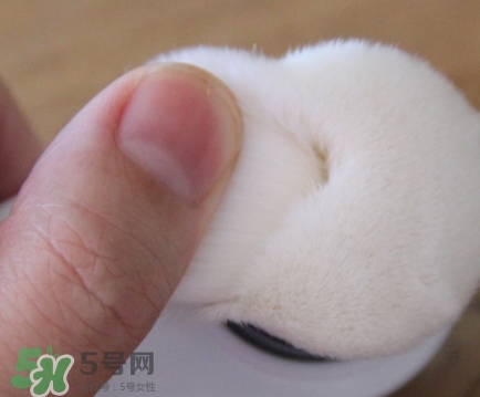 neogen妮珍面膜怎么樣？冷門性價(jià)比高的面膜