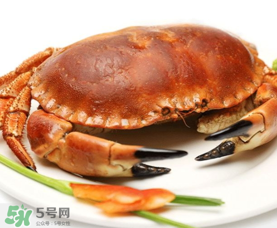 面包蟹的營養(yǎng)價(jià)值 面包蟹的產(chǎn)地