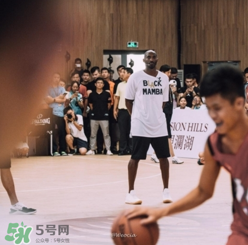 nike kobe ad mid baseline什么時候發(fā)售_多少錢？