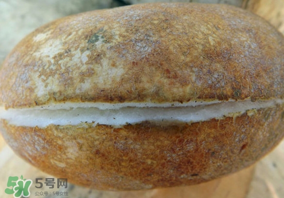 預知子果為什么種的人少？預知子和八月扎有區(qū)別嗎